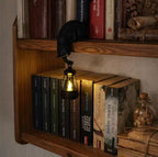 Cat shelf hanger lighting a row of books on a wooden bookcase